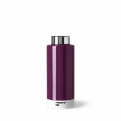 Blitzangebot ???? Pantone Universe Trinkflasche - 630 Ml - Aubergine 229 ????